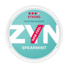 ZYN