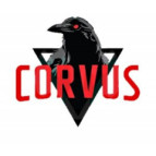 Снюс Corvus с доставкой по Москве и России – низкие цены