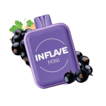 INFLAVE MINI 1000 Черная смородина