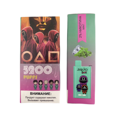 Заказать Электронные сигареты R AND M Squid Box 5200 Мята – оптовая цена для каждого клиента